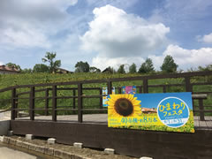 夏休みファミリーイベント